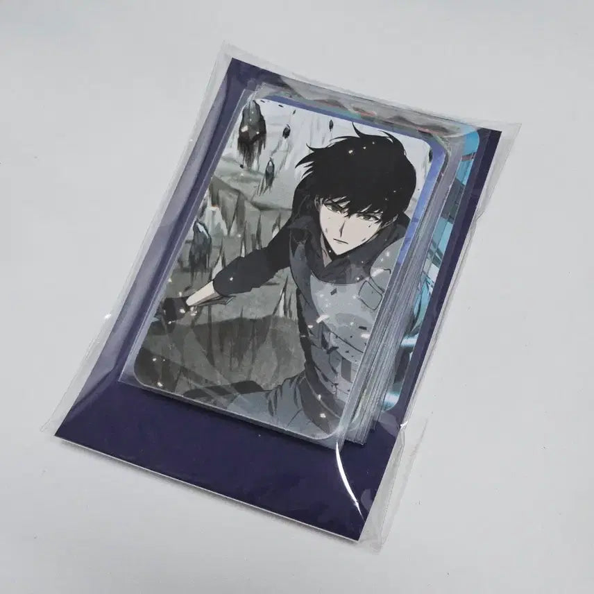 [BUNJANG] Omniscient Reader's Viewpoint Photocard Set (14 types) / 전지적 독자 시점 전독시 포토카드 포카 14종 세트 공식 교보문고 특전 양도