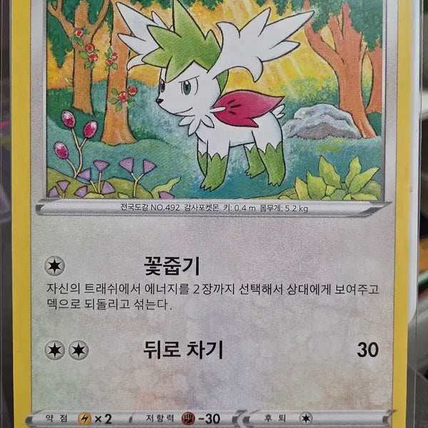 [BUNJANG] Pokemon Card Shaymin S12 F 081/098 C / 포켓몬카드 쉐이미 감사포켓몬 S12 F 081/098 C