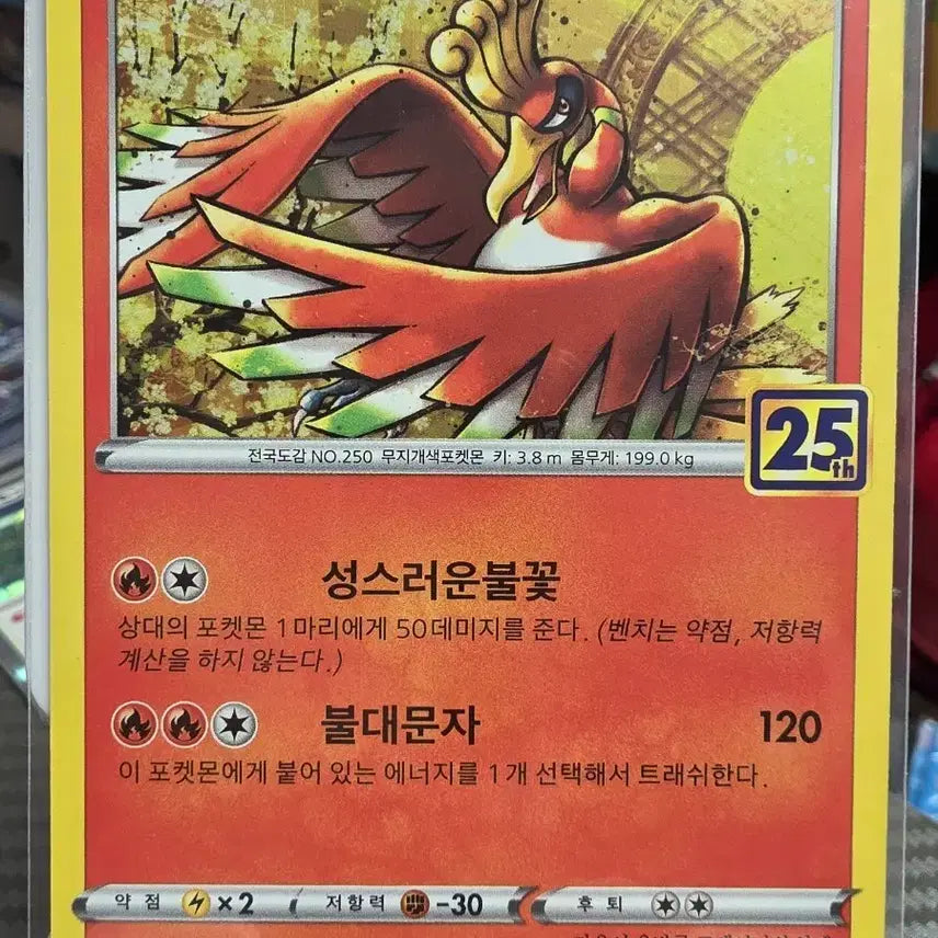 [BUNJANG] Pokemon Card Moltres 25th Anniversary Edition / 포켓몬 카드 칠색조 25주년 에디션
