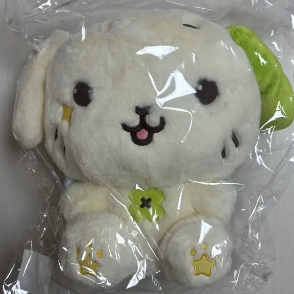 [BUNJANG] NCT WISH Ryo 30cm Doll (Sealed) / 미개봉) 엔시티위시 료 룐룐 30cm