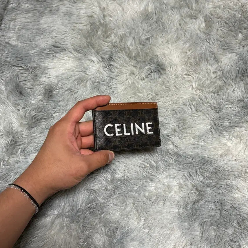 [BUNJANG] Celine Triomphe Canvas Card Holder 10B702CLY-04LU / 셀린느 트리옹프 캔버스 카드지갑 10B702CLY-04LU
