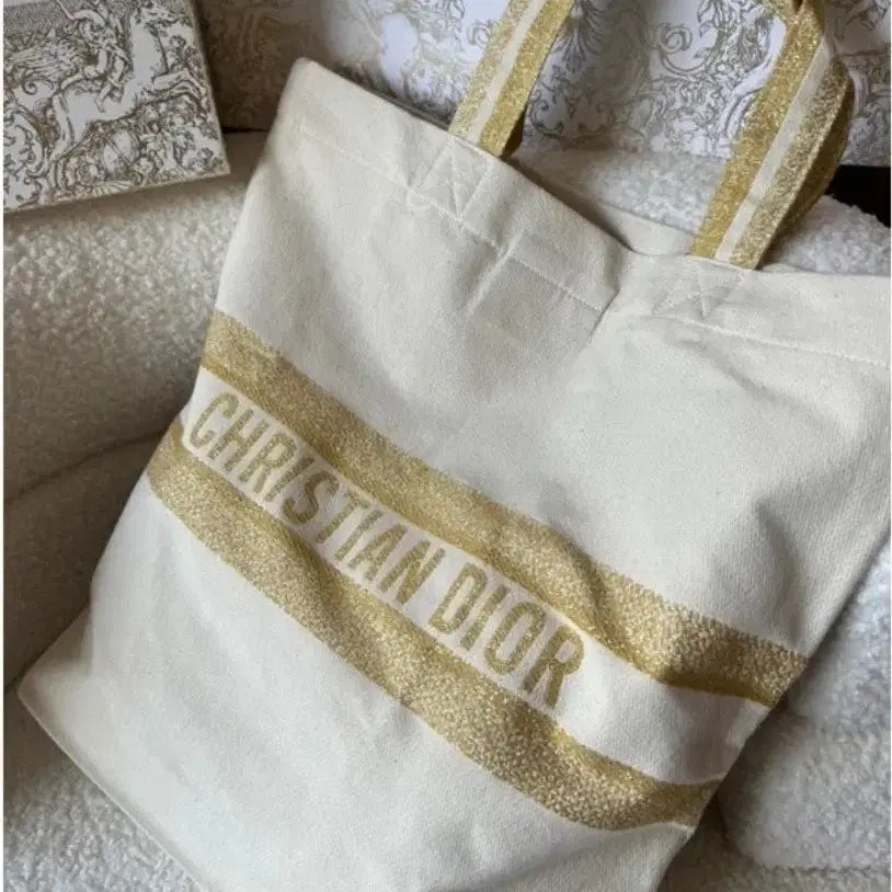 [BUNJANG] Dior Eco Bag / 디올 에코백 새상품