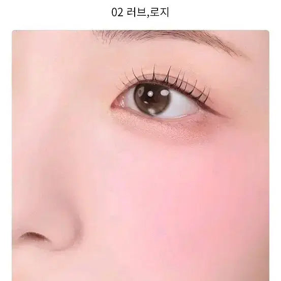 [BUNJANG] 2A N Dual Cheek Love Rosy Set / 투에이엔 듀얼치크 러브로지