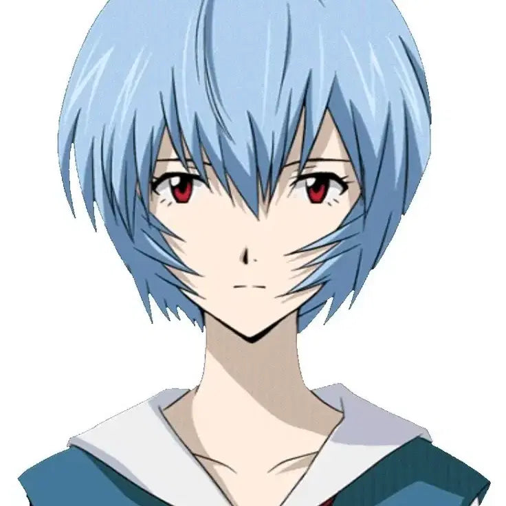 [BUNJANG] Evangelion Rei Ayanami Cosplay Full Set with Wig / 에반게리온 레이 세팅 가발포 풀셋 코스프레