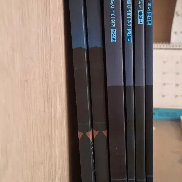 [BUNJANG] Kim Seung-ri All Oka Reading Edition / 김승리 올오카 독서편 팝니다