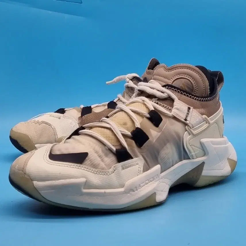 [BUNJANG] Nike Air Jordan Why Not Zer0.5 Basketball Shoes / aa 나이키 에어조던 와이낫제로5 농구화 285