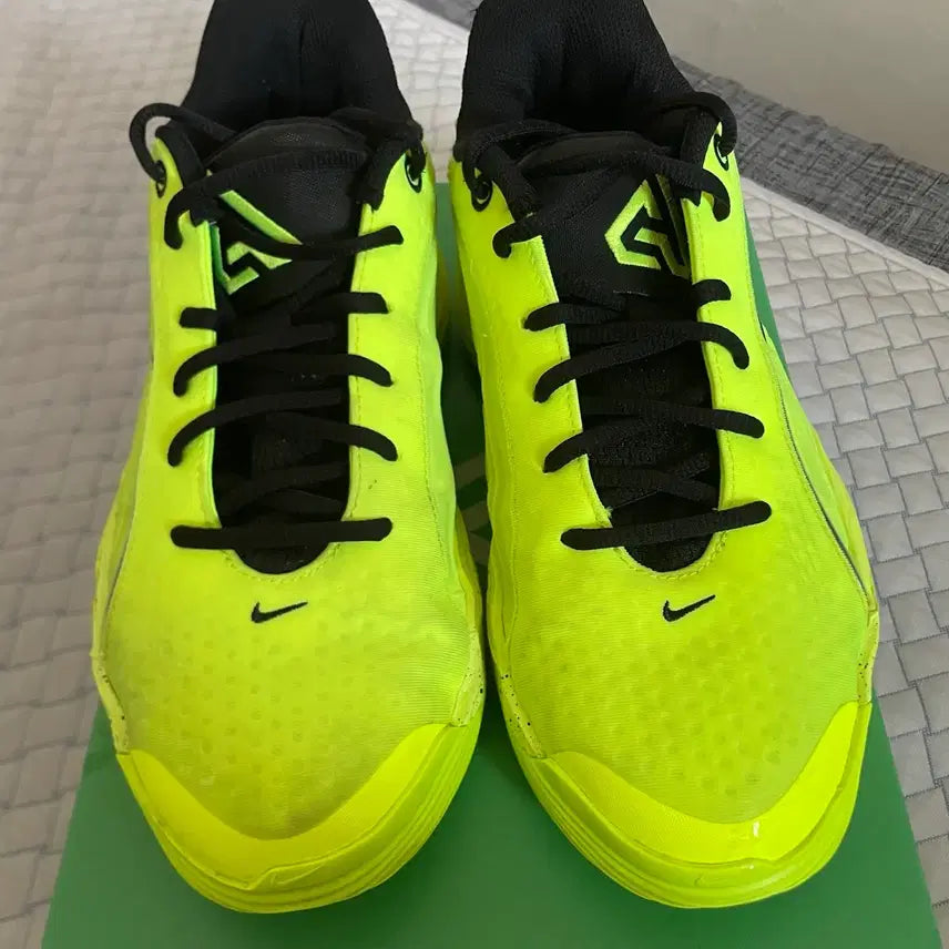 [BUNJANG] Nike Immortality 5 Basketball Shoes / 야니스 이모탈리티5 260