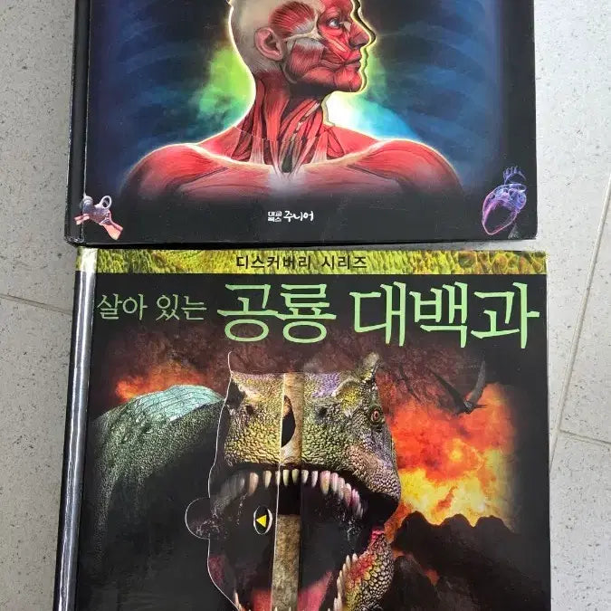 [BUNJANG] Discovery Series: The Secret of the Human Body & Dinosaur Encyclopedia Set / 디스커버리 시리즈 인체의 비밀 / 공룡 대백과