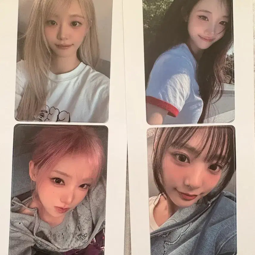 [BUNJANG] QWER Woori Bank Tintin Card Magenta Sierah Hina Chodan Photocard / QWER 우리은행 쿼티 틴틴 카드 마젠타 시연 히나 쵸단 포카 팔아요