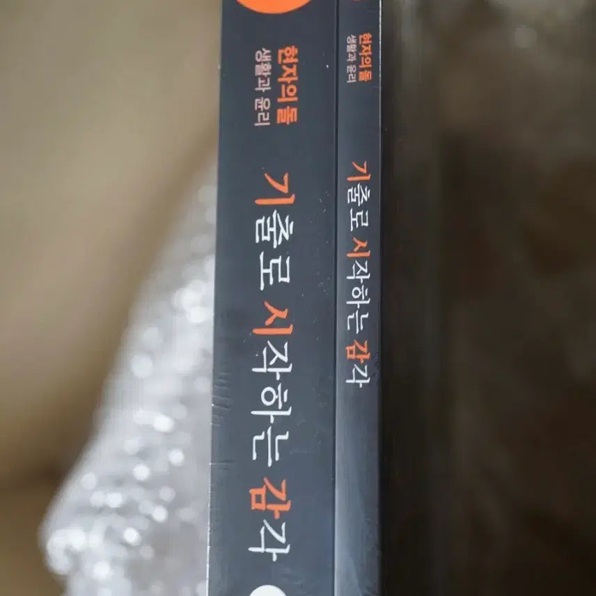 [BUNJANG] The Stone of Wisdom (현자의돌) 2027 Revised Edition - Study Guide for 'Life and Ethics' / 2027 현돌 기시감 기출로 시작하는 감각 생윤 현자의돌 미개봉