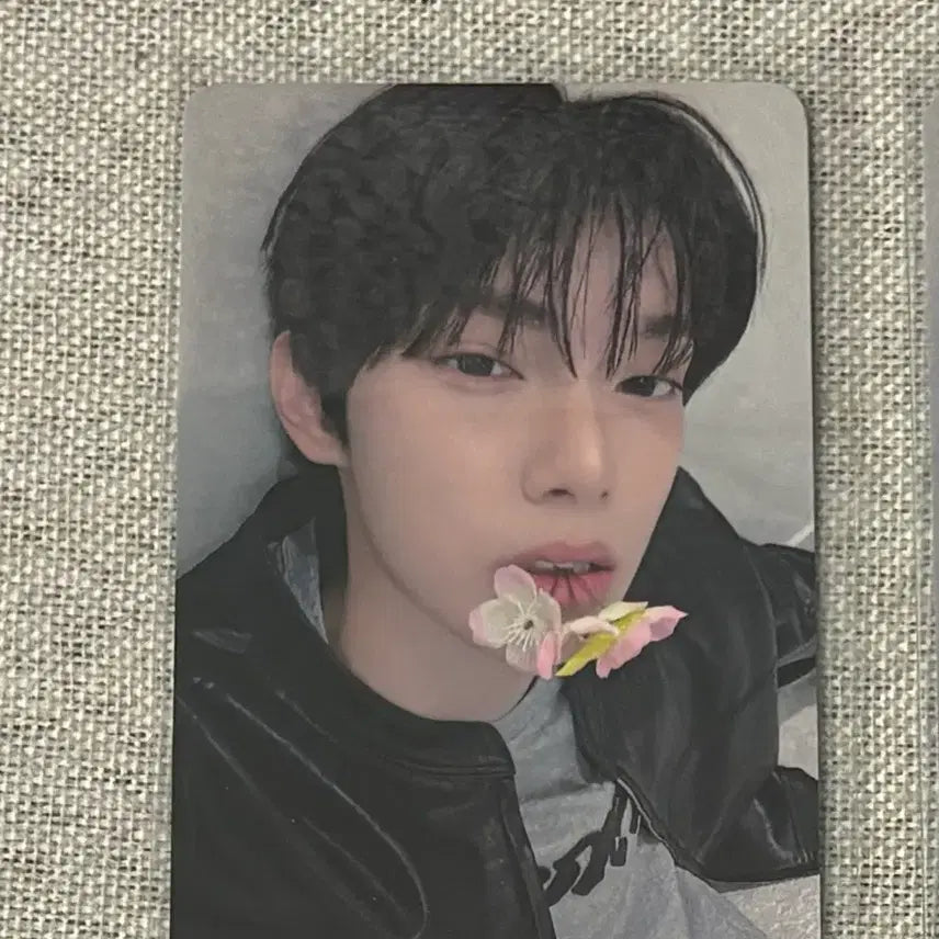 [BUNJANG] FLAREYOU Choi Rip Woo Hello 82 POB Photocard / 플레어유 최립우 헬로82 미공포 판매