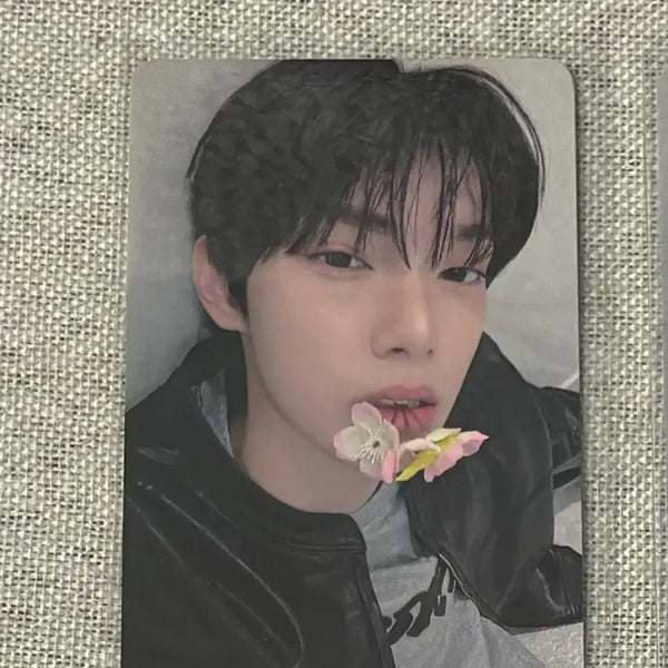 [BUNJANG] FLAREYOU Choi Rip Woo Hello 82 POB Photocard / 플레어유 최립우 헬로82 미공포 판매