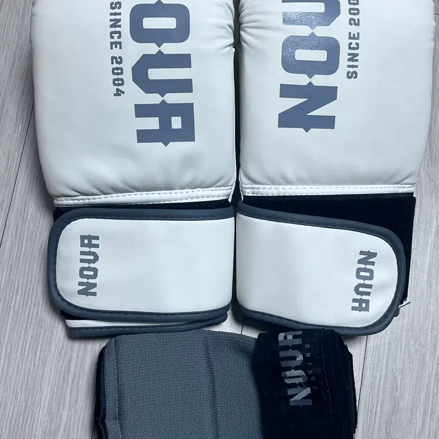 [BUNJANG] Boxing Gloves / 복싱 글러브