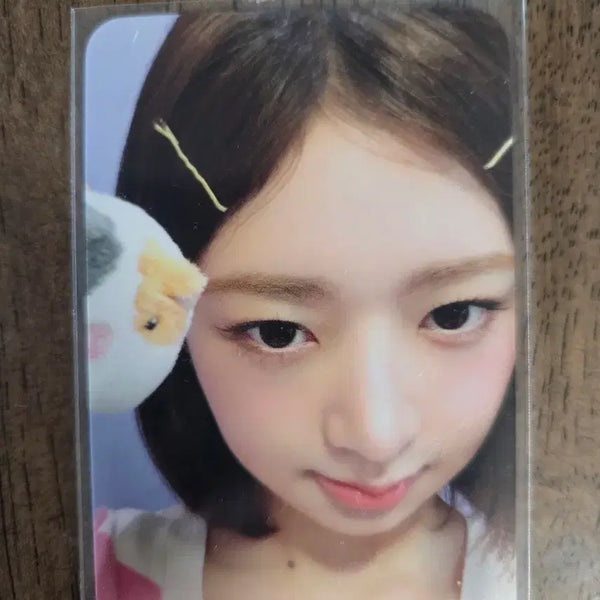 [BUNJANG] IVE Rei Everland Entrance Photocard / 아이브 레이 에버랜드 입장포카