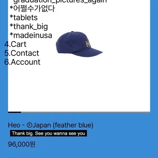 [BUNJANG] Tefstores Heo - Japan Feather Blue Cap / 테프스토어즈(tefstores,L) Heo - Japan (feather blue)