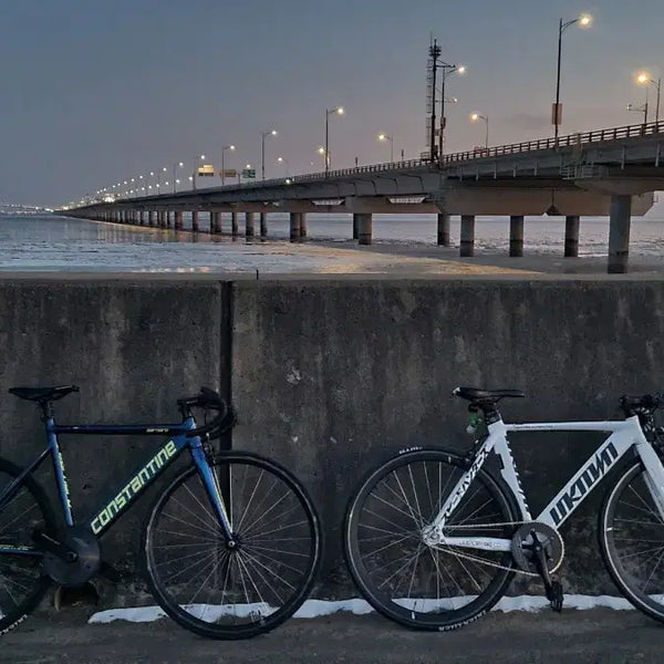 [BUNJANG] Constantine Bernard Chameleon 2025 Bicycle / 콘스탄틴 버나드 2025년형  저렴히 팝니다