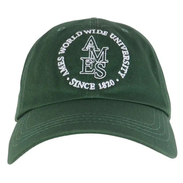 [BUNJANG] AMES WORLDWIDE Ball Cap Hat / 아메스 월드와이드 볼캡 모자 / k4616