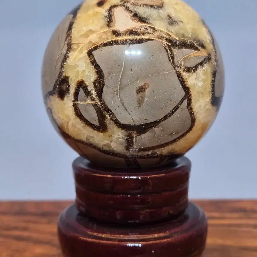 [BUNJANG] Black Scepterian Turtle Shell Stone / 26080519 좋은 기운을 내뿜는 블랙셉터리안 귀갑석 구가공석 광물 수석 팝니다