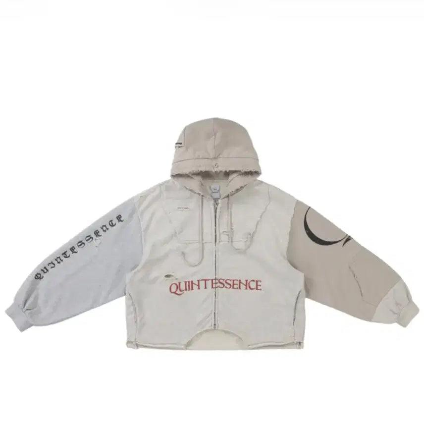[BUNJANG] Taeyang Quintessence Zip-Up Hoodie / 태양 퀸터센스 집업 후드 판매합니다