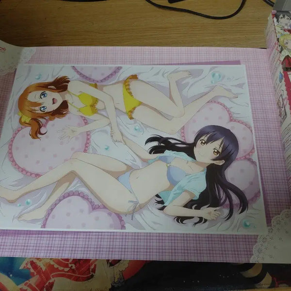 [BUNJANG] Love Live! Muse Book Cover Set (3 Types) / 러브라이브 뮤즈 기본 책커버 및 다목적 사용가능 3종세트