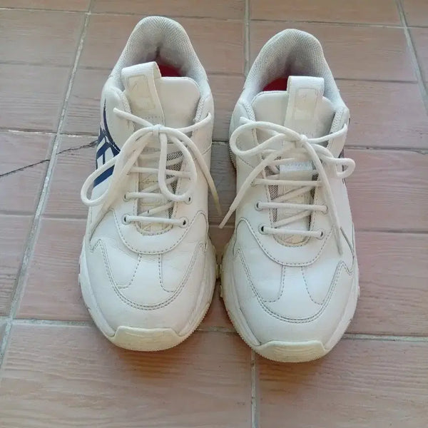 [BUNJANG] MLB Chunky Sneakers 260mm / MLB