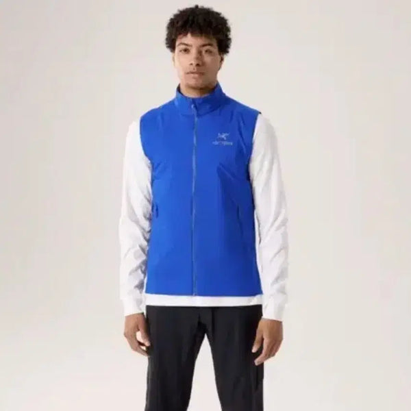 [BUNJANG] Arc'teryx Atom SL Vest Vitality / [XL]아크테릭스 아톰 SL 베스트 바이탈리티