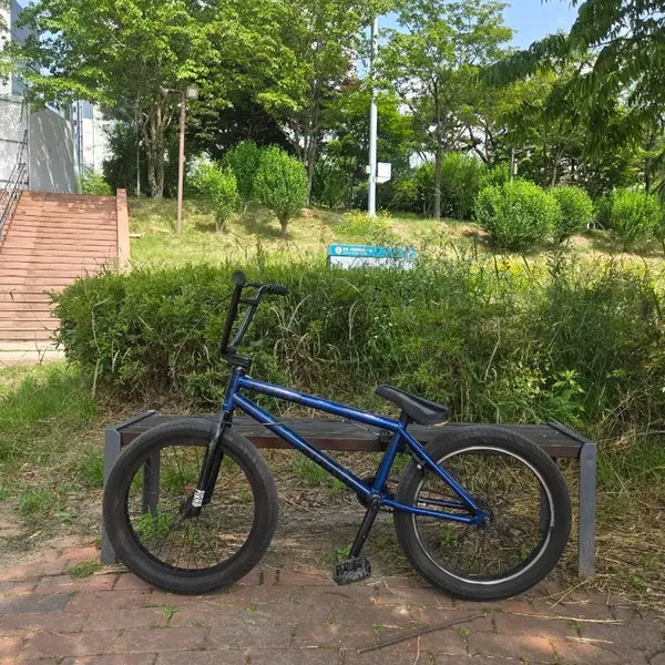 [BUNJANG] Shred BMX Bicycle / 핀드 bmx 팝니다.