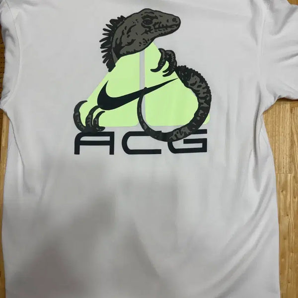 [BUNJANG] Nike ACG Iguana Graphic T-Shirt / 나이키 ACG 이구아나 반팔티 M