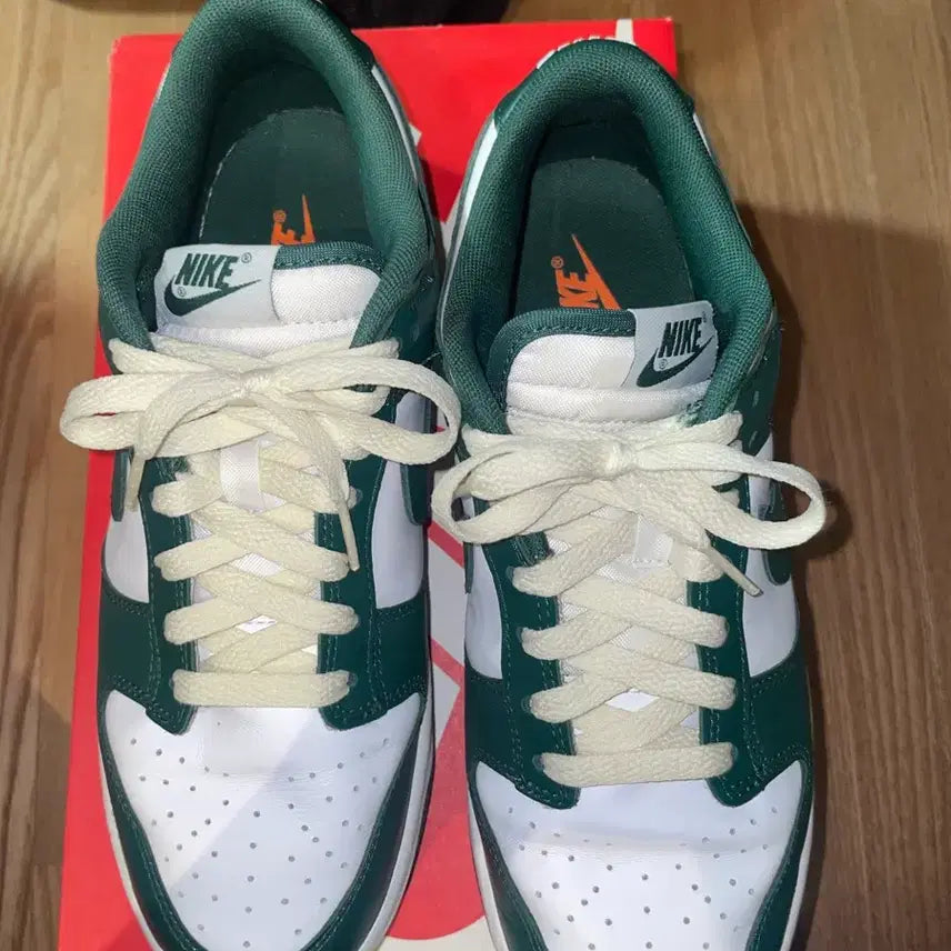 [BUNJANG] Nike Dunk Low Retro Varsity Green / [260]나이키 덩크 로우 레트로 바시티 그린