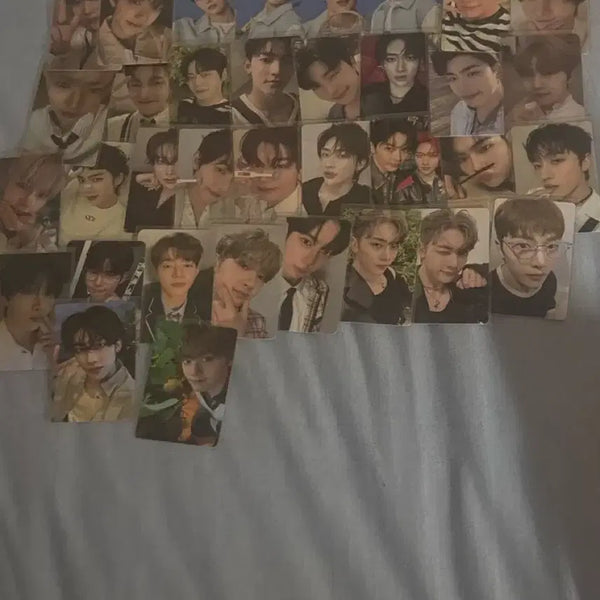 [BUNJANG] ZB1 Bundle Set Sung Hanbin Zhang Hao YuJin Kim Gyuvin Park Gunwook Seok Matthew Kim Taerae Ricky Kim Jiwoong N'ZEROSE / 제베원 전체 일괄 양도 성한빈 장하오 한유진 김규빈 박건욱 석매튜 김태래 리키 김지웅 앤더블제로즈