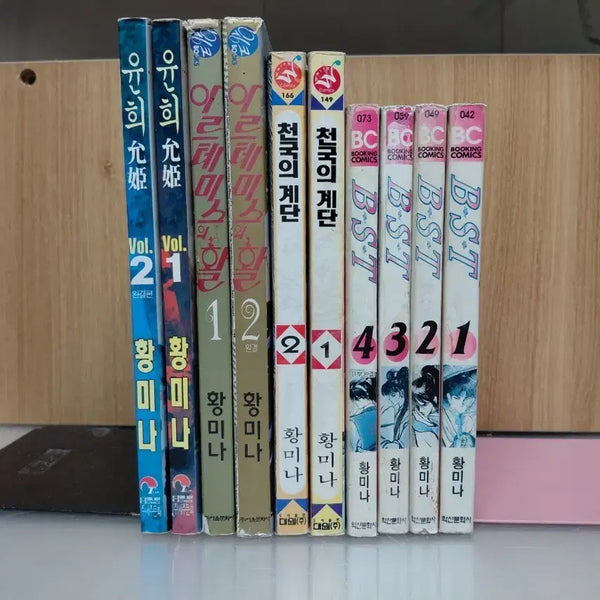[BUNJANG] Hwang Mina Short Story Comic Series Complete 10 Volume Set / 황미나 만화 단편 시리즈 합10권 세트,희귀,윤희1-2,외,아래