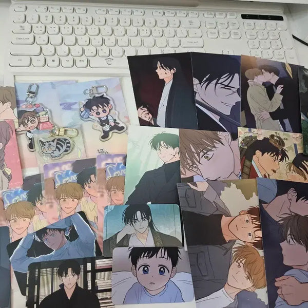 [BUNJANG] How to Train Your Dragon Acrylic Keyring Photocard Set / 범을 길들이는 요령 아크링 키링 포카 굿즈 세트