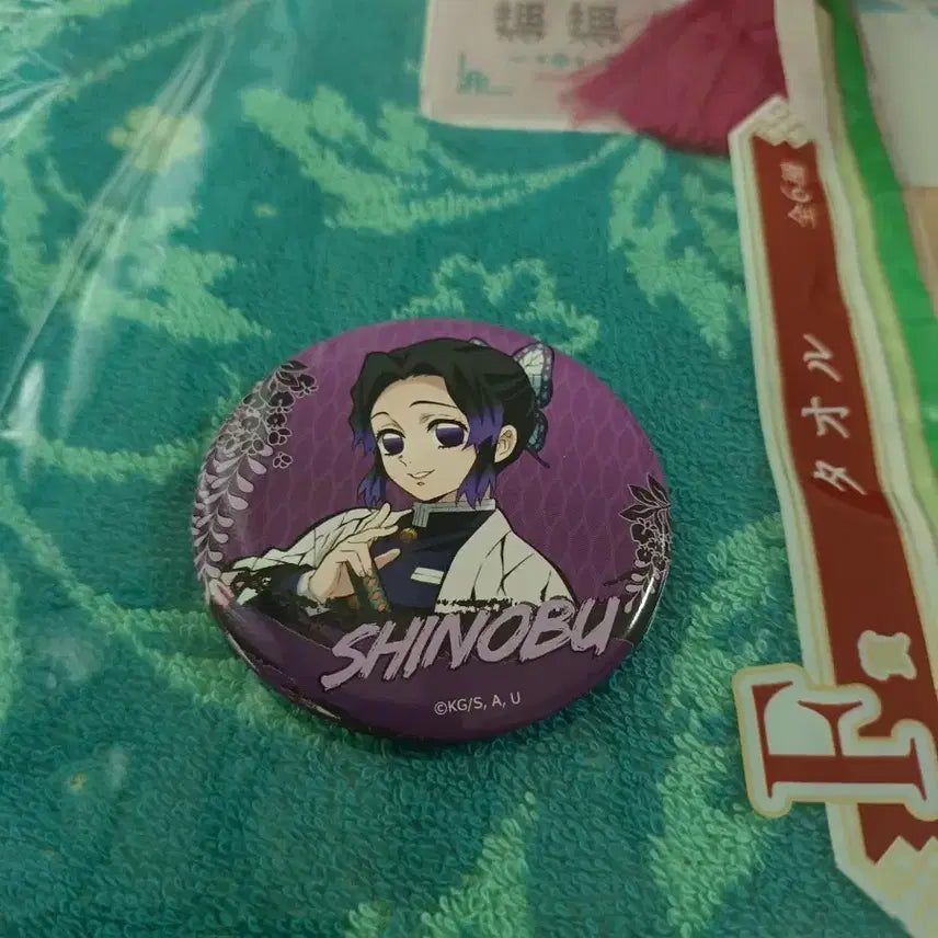 [BUNJANG] Demon Slayer Shinobu Character Pin / 귀멸의 칼날 시노부 뱃지
