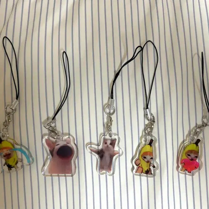 [BUNJANG] Cat Acrylic Keyring 5 Piece Set / 고양이 아크릴 키링 5개 세트