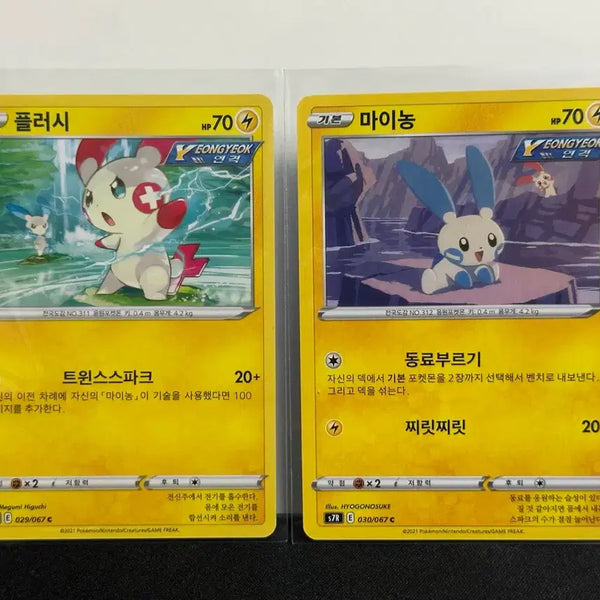 [BUNJANG] Pokemon Card Lot - Combee & Vespiquen (Vintage) / 포켓몬카드 고전 마이농&플러시 일괄