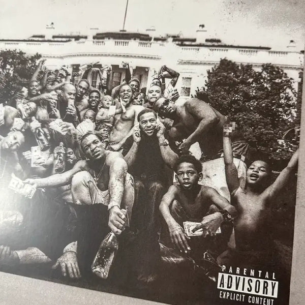 [BUNJANG] Kendrick Lamar To Pimp A Butterfly LP / 켄드릭 라마 앨범 To Pimp A Butterfly lp