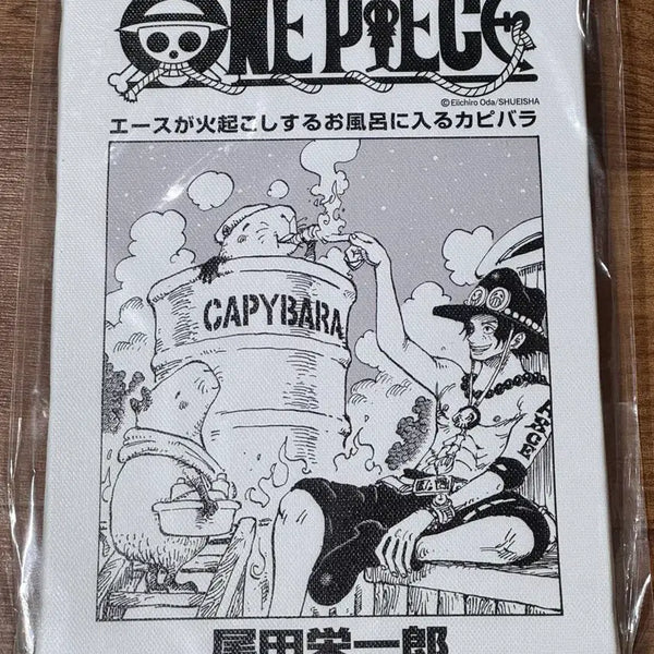 [BUNJANG] Jump Shop One Piece Art Board Ace (Sealed) / 점프샵 원피스 속표지 아트 보드 에이스 미개봉 새상품