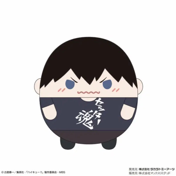 [BUNJANG] Haikyuu!! Kageyama Tobio Fuwa Fuwa Plush M Size (Sealed) / 하이큐 카게야마 후와 미개봉 M 사이즈