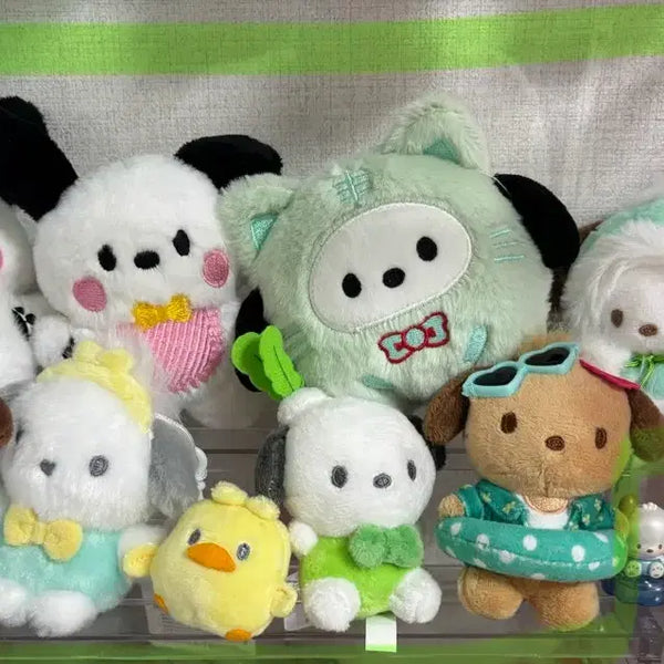 [BUNJANG] Pochacco Doll Keychain Bundle Set / 포차코 인형 키링 일괄