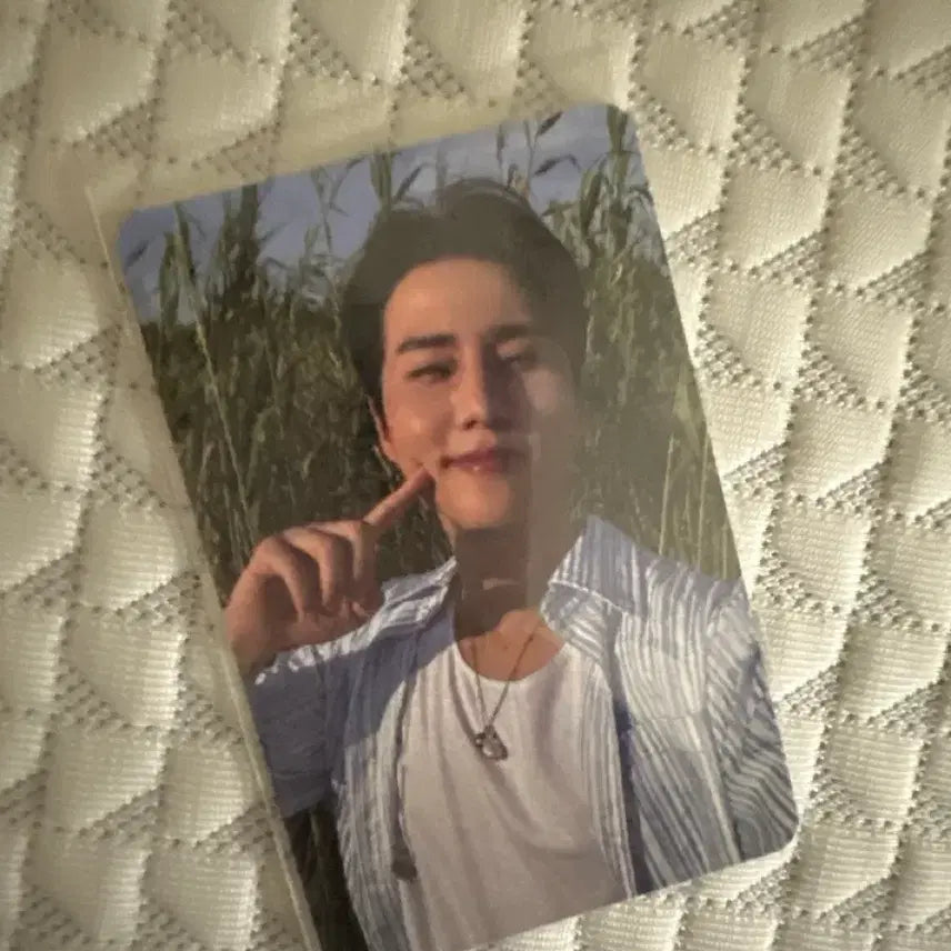 [BUNJANG] DAY6 Young K Photocard / 데이식스 영케이포토카트