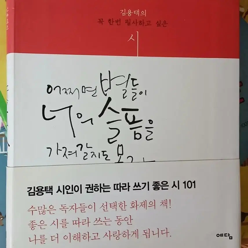 [BUNJANG] Maybe the Stars Will Take Your Sadness Book / 어쩌면 별들이 너의 슬픔을 가져갈지도 몰라