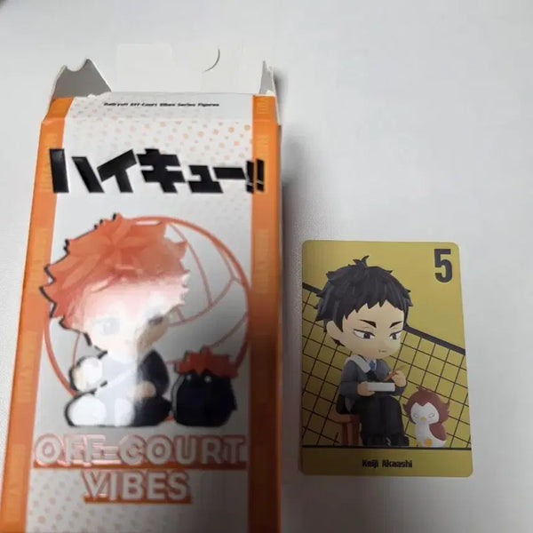 [BUNJANG] Haikyuu!! Pop Mart Akaashi Keiji Figure (Sealed) / 하이큐 팝마트 아카아시(미개봉)