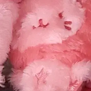 [BUNJANG] NCT WISH Color Doll Yushi Bubble Cat Red / 엔시티위시 컬러돌 위시돌 위부부 레드 유우시 버블냥 양도