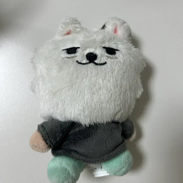 [BUNJANG] TXT Beomgyu Bbulljoo Plush / 투모로우바이투게더 투바투 txt 뿔바투 최용멍