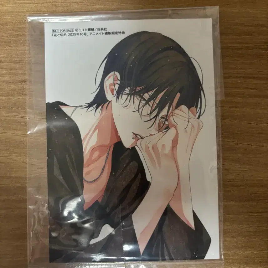 [BUNJANG] Monster Spring Storm Harumon Animate Hana to Yume Limited Edition Goods / 봄의 폭풍과 몬스터 봄폭몬 하루몬 애니메이트 하나토유메 특전