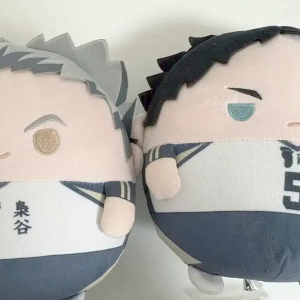 [BUNJANG] Haikyuu Bokuto Akaashi Fuwaroring M / 하이큐 보쿠토 아카아시 후와코로링 M [판매]