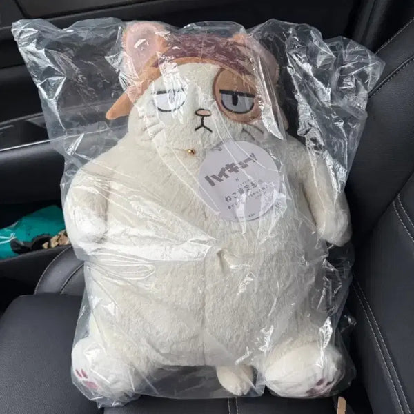 [BUNJANG] Haikyuu!! Kenma Kozume Nekoma High School Cat Plush Doll / 하이큐 켄마 네코 중대형인형