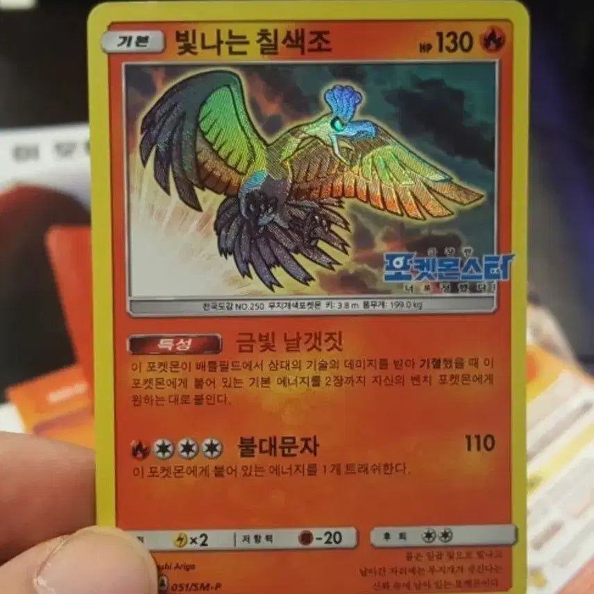 [BUNJANG] Iridescent Pheasant Special Promo Card (Discontinued) / (단종)칠색조 스폐셜 프로모 카드
