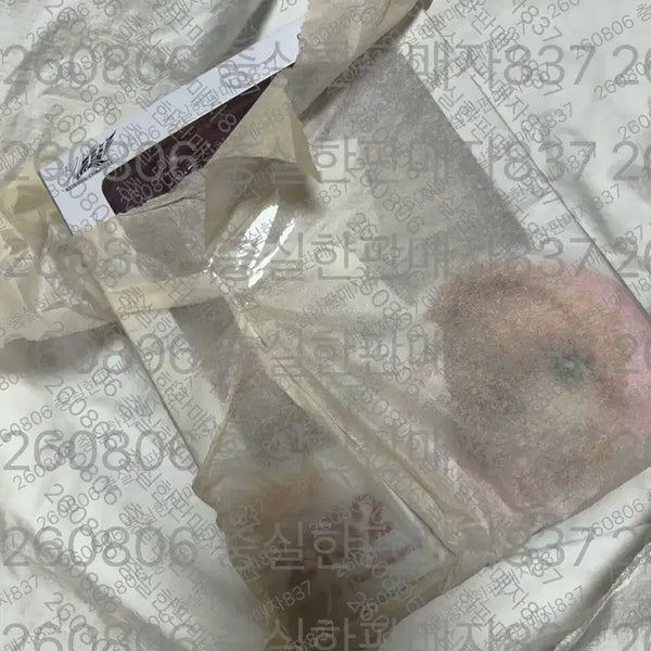 [BUNJANG] Tsubasa Chronicle Sakura Figure (Sealed) / (미개봉) 츠바사클로니클 사쿠라