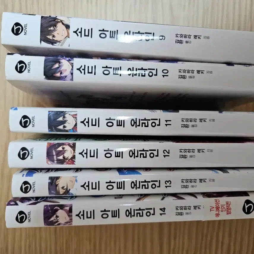 [BUNJANG] Sword Art Online Light Novel / 소드아트온라인 라노벨